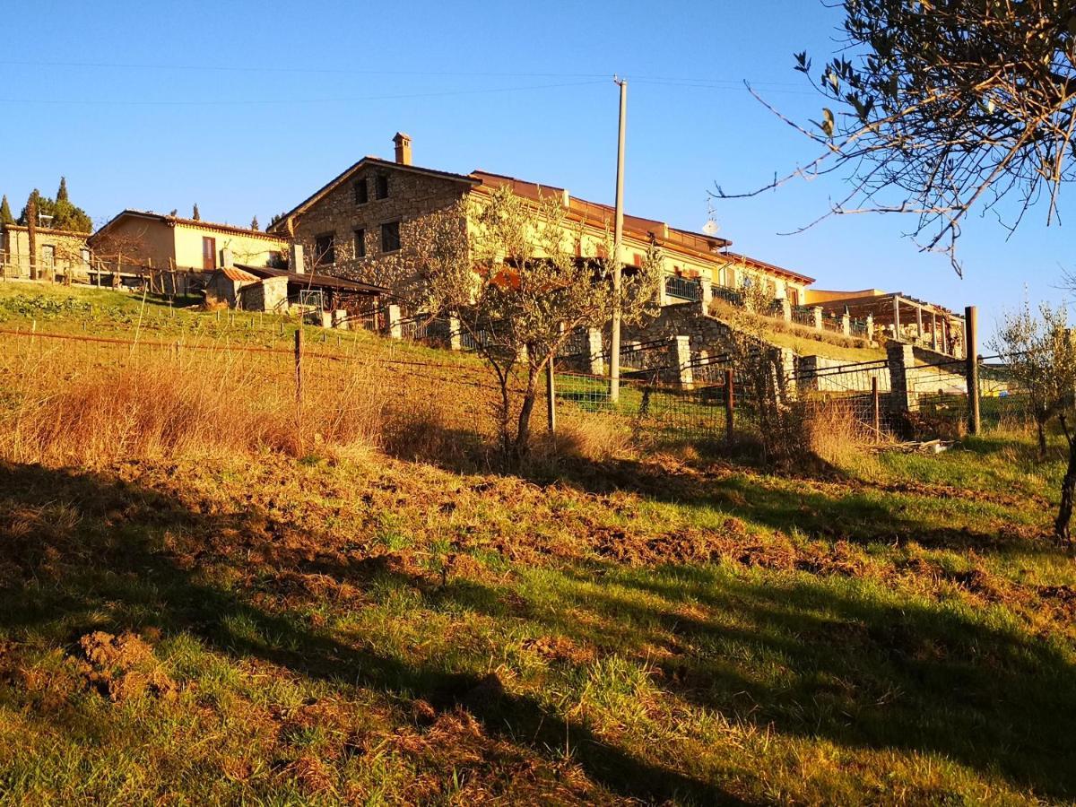 Agriturismo Olimpo Villa Santa Maria  Eksteriør billede