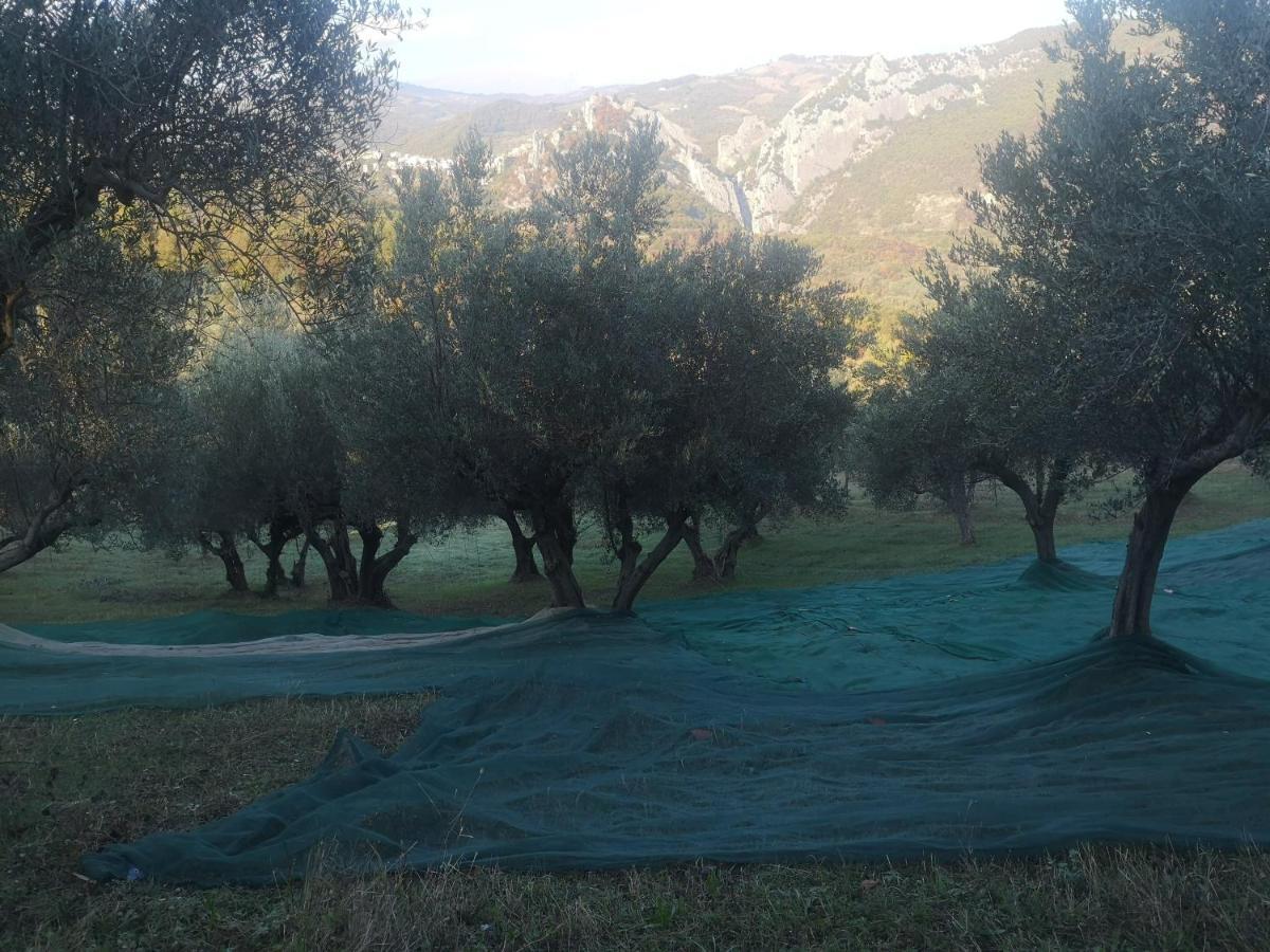Agriturismo Olimpo Villa Santa Maria  Eksteriør billede