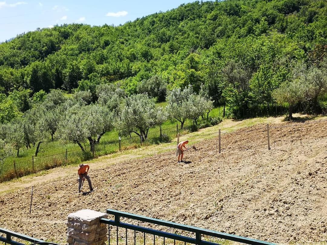 Agriturismo Olimpo Villa Santa Maria  Eksteriør billede