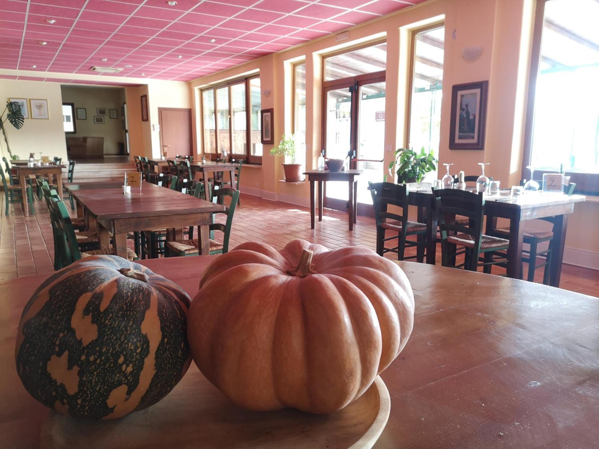 Agriturismo Olimpo Villa Santa Maria  Eksteriør billede