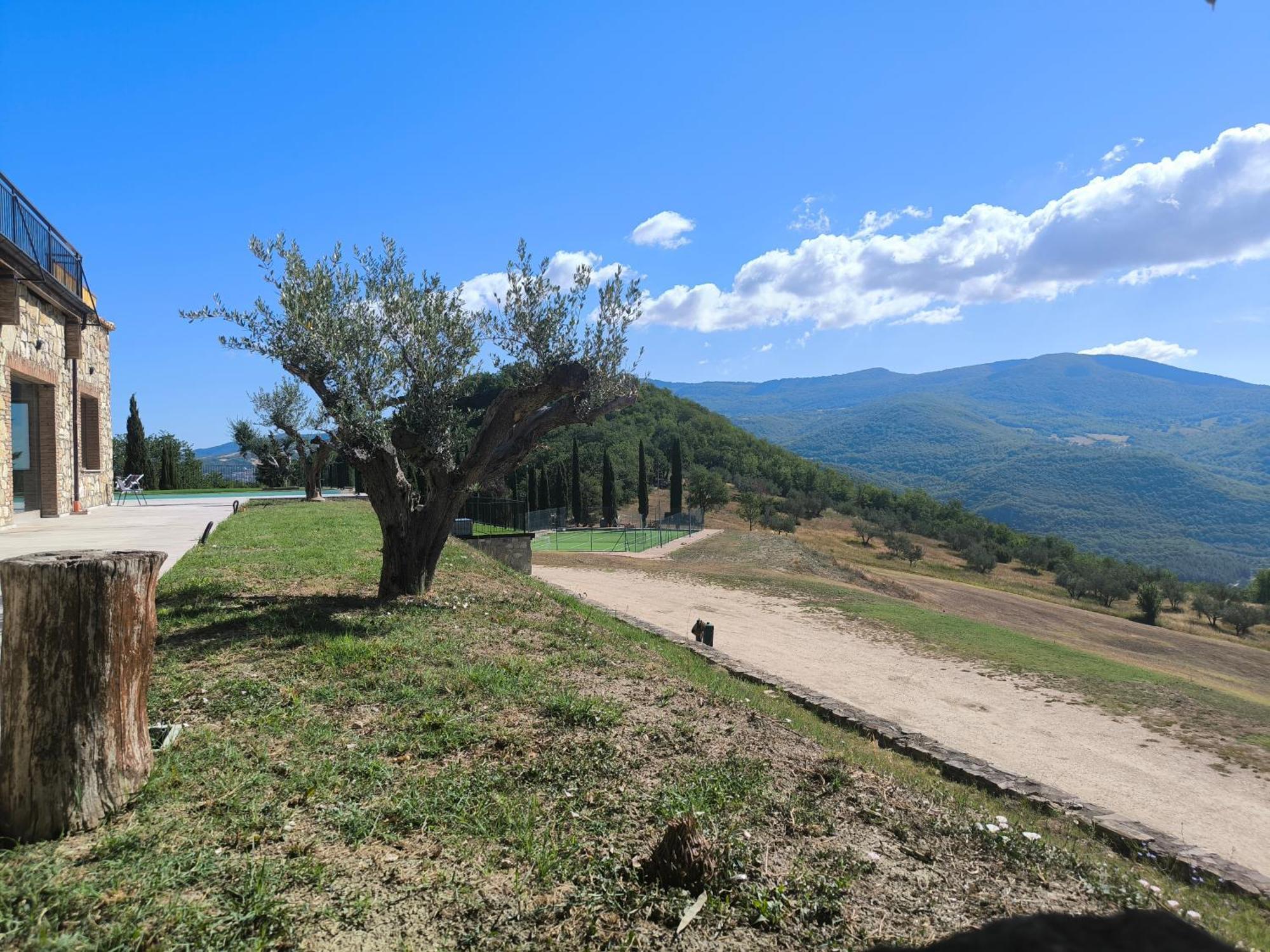 Agriturismo Olimpo Villa Santa Maria  Eksteriør billede
